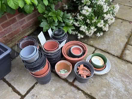Photo of free Various Plant Pots (Longbarn WA2) #3