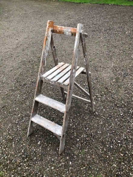 Photo of free Short step ladder (Forest Wood LD8) #3
