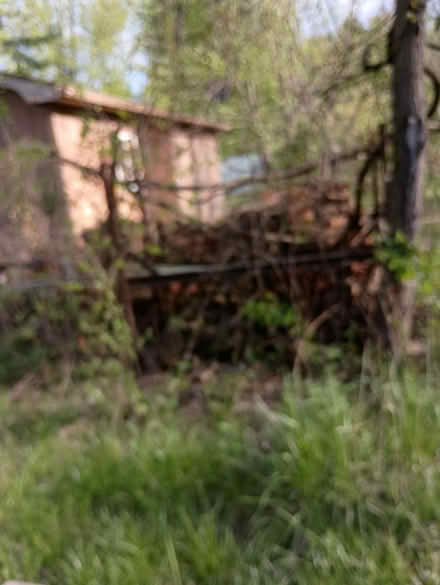 Photo of metal scrappers (Romulus on Inkster) #3