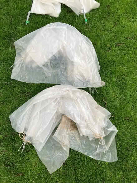 Photo of free Three Mini poly tunnels (Foxton) #1
