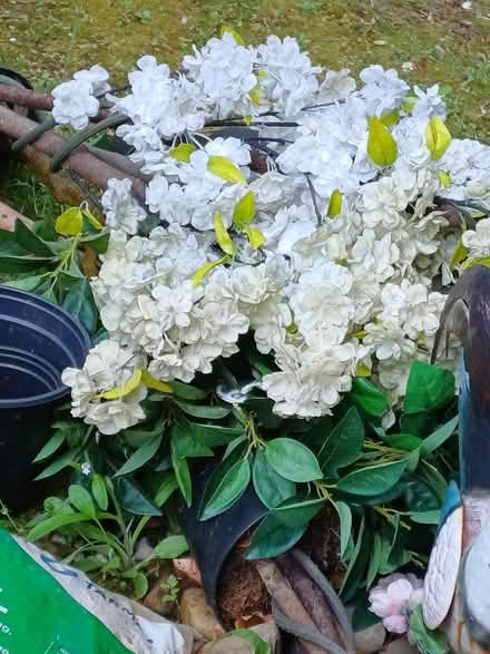 Photo of free Artificial plants (Chineham RG24) #3