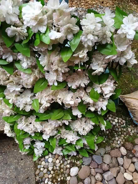 Photo of free Artificial plants (Chineham RG24) #1