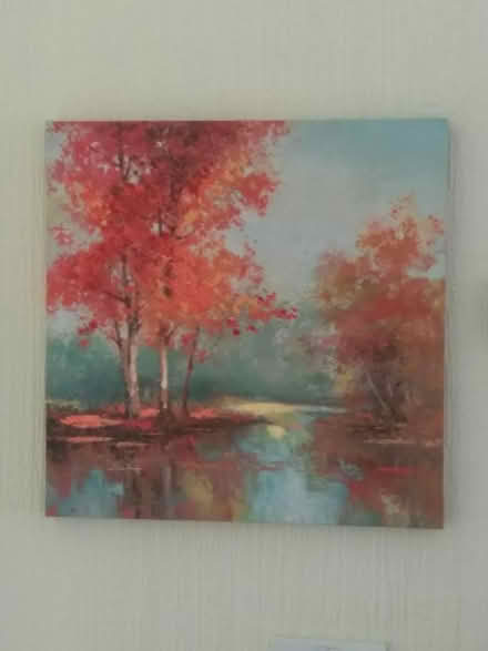 Photo of free Dunelm canvas print - 50cm square (Downend) #1