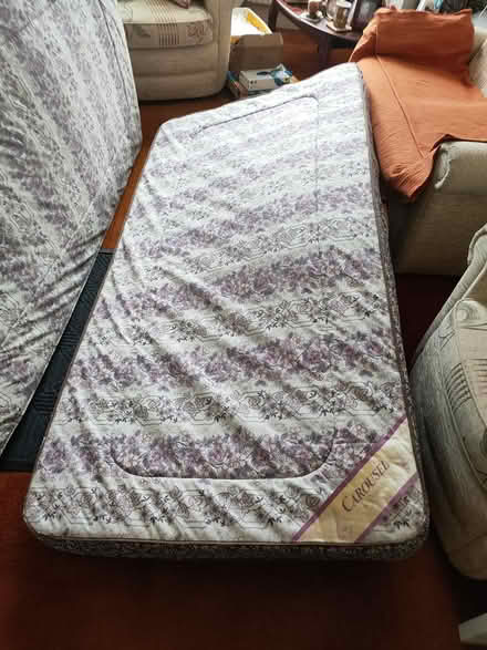 Photo of free 2 single bed bases and mattress (isleworth) #2