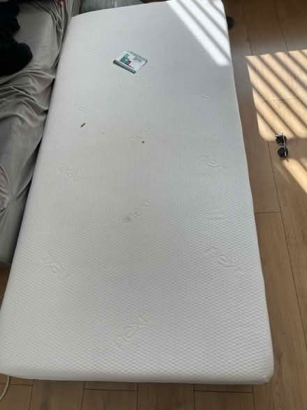 Photo of free single mattress full foam Next (Gorton M18) #3