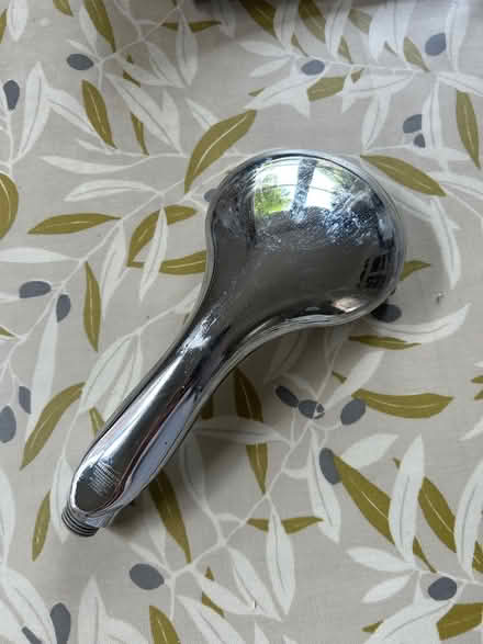 Photo of free Shower head (Teddington TW11) #1