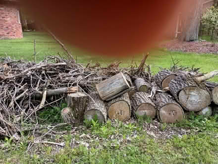 Photo of free seasoned firewood (Romulus on Inkster) #3