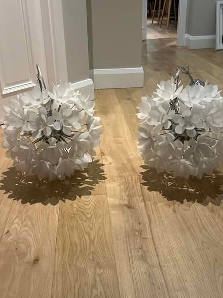 Photo of free Pendant light shades x 4 (Dartry Dublin 6) #1