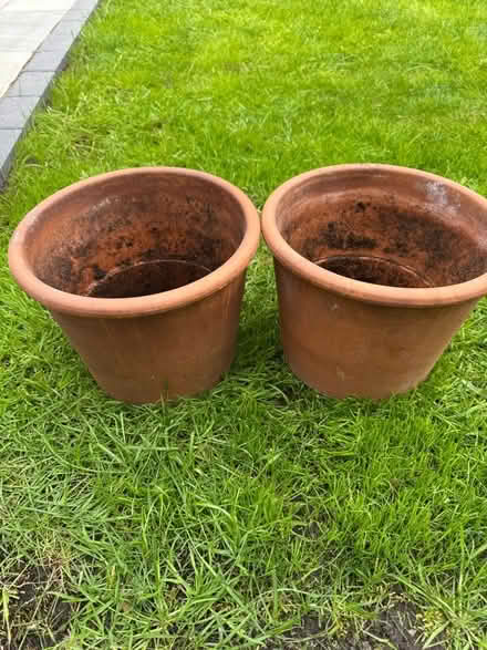 Photo of free 2 terracotta planters (Reading West RG1) #1