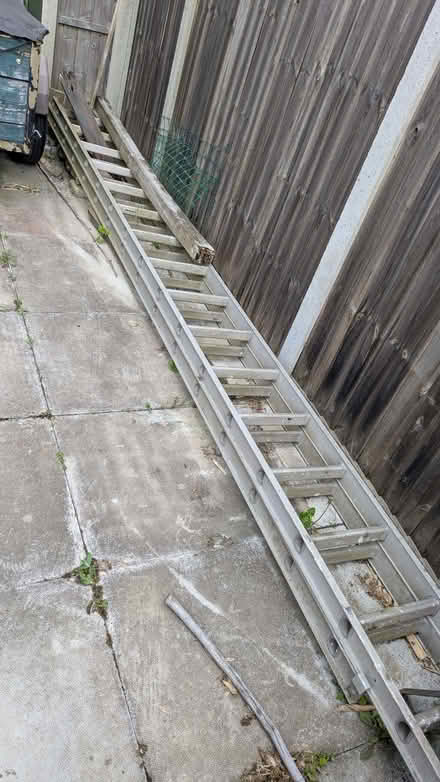 Photo of free Ladder (Malvern Link WR14) #1