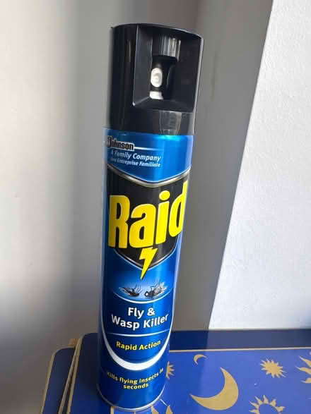 Photo of free Fly & wasp spray (Hove BN3) #1