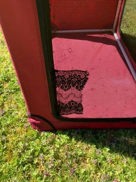 Photo of free Foldable Dog Crate (Weston Park BA1) #3