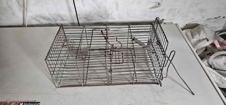Photo of free Humane rat trap (Kington HR5) #1