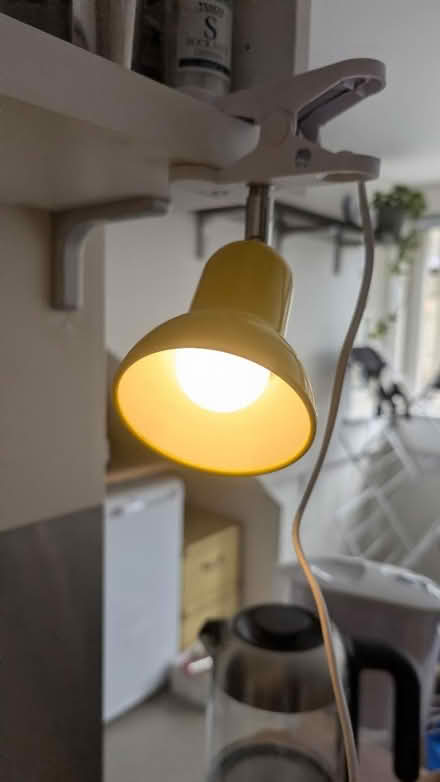 Photo of free Small clip lamp (CB2) #1