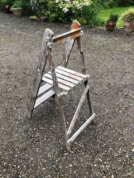 Photo of free Short step ladder (Forest Wood LD8) #4