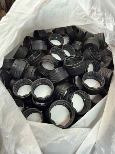 Photo of free 24x 100ml glass bottles plus lids (Pulborough) #2
