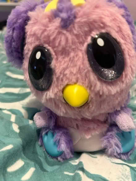 Photo of free hatchimal toy (New Malden KT3) #1