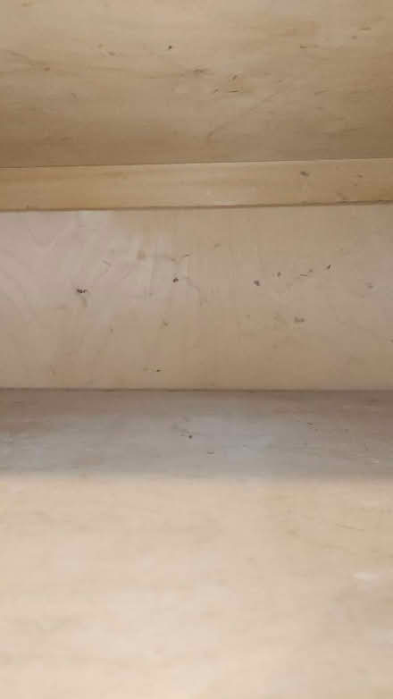 Photo of free Vintage wardrobe needs repair (Leytonstone E10) #2
