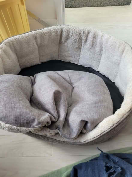 Photo of free Dog Bed (Bernards Heath AL1) #2