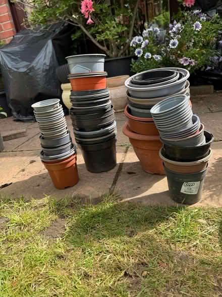 Photo of free Plastic garden plant pots (Chelmer village CM2) #1