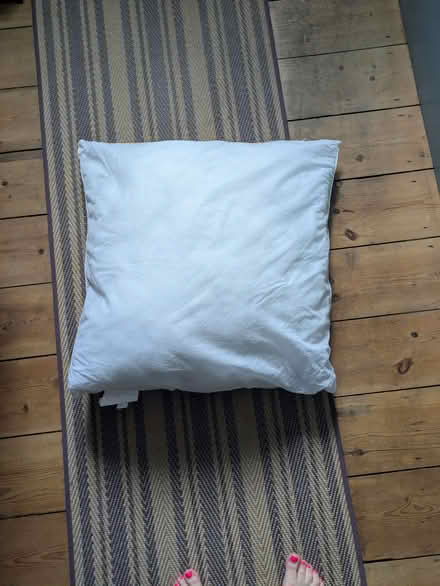 Photo of free Large cushion inside (Rugby CV21) #1