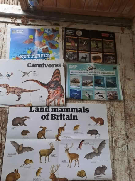 Photo of free Various wildlife wall charts/posters (Henleaze BS9) #1