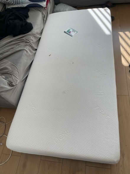 Photo of free single mattress full foam Next (Gorton M18) #1