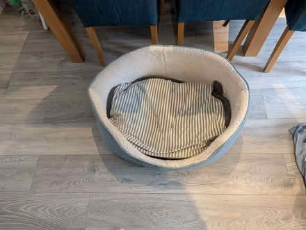 Photo of free Dog bed and blanket (Abingdon-on-Thames OX14) #2