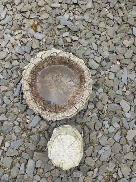 Photo of free Bird Bath & stand (Hexham NE46) #1