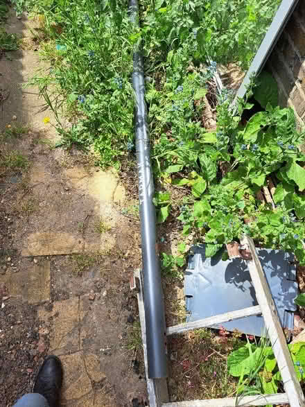 Photo of free Basketball hoop with stand (NW6) #2