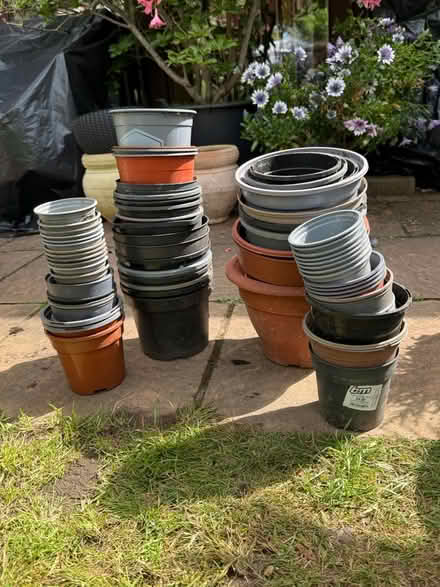 Photo of free Plastic garden plant pots (Chelmer village CM2) #2