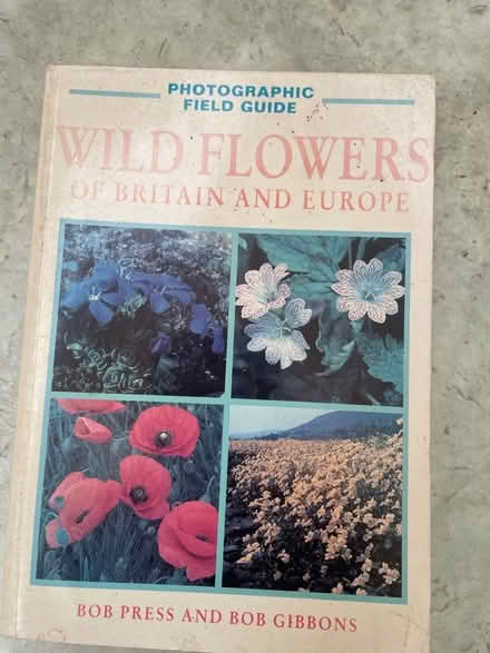 Photo of free Wild flower field guide (Royal Leamington Spa CV32) #1