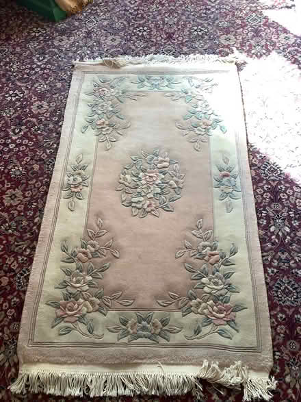 Photo of free Thick rug (Forde Close TQ12) #1