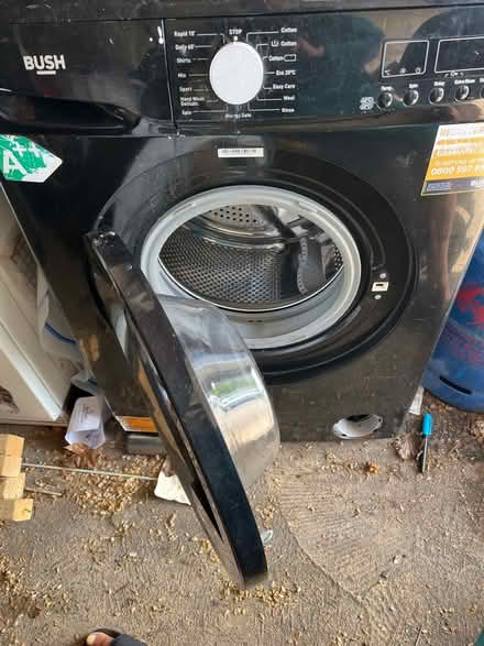 Photo of free Bush (SG6) #1