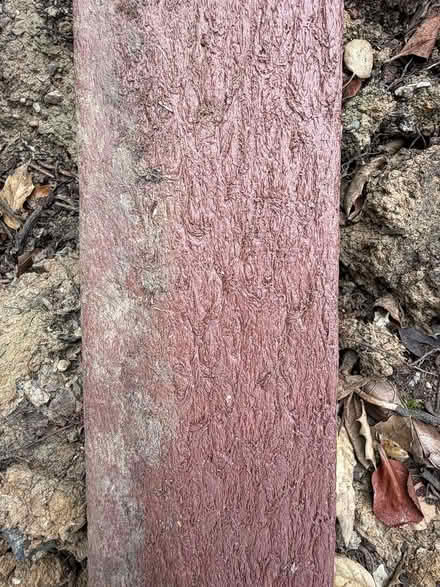 Photo of free lawn / yard border (West side Petaluma) #2