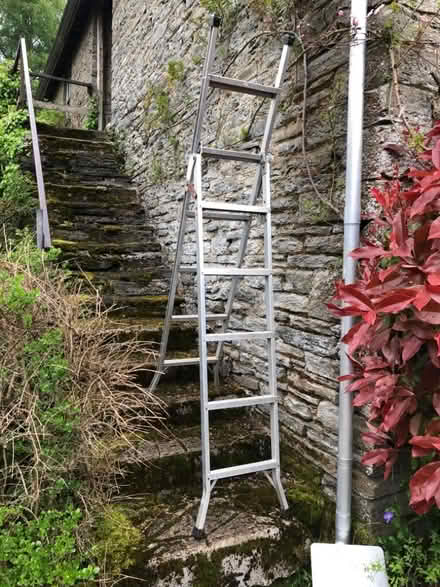 Photo of free Step ladder (Forest Wood LD8) #4