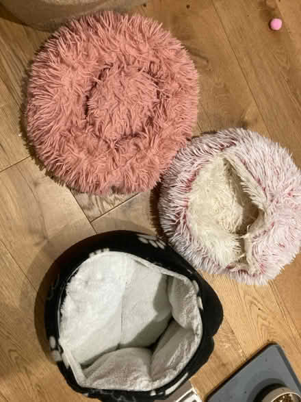 Photo of free Kitten beds (Wells BA5) #1