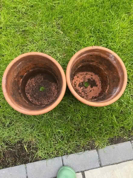 Photo of free 2 terracotta planters (Reading West RG1) #3