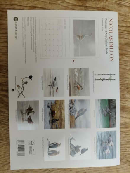 Photo of free 2026 new Zealand birds calendar (Jericho OX2) #2