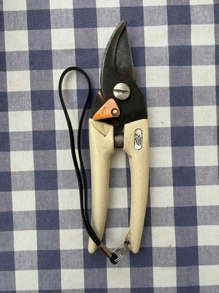Photo of free Secateurs (Camden BA1) #2