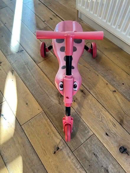 Photo of free Skuttle bug (Earlsfield SW18) #1