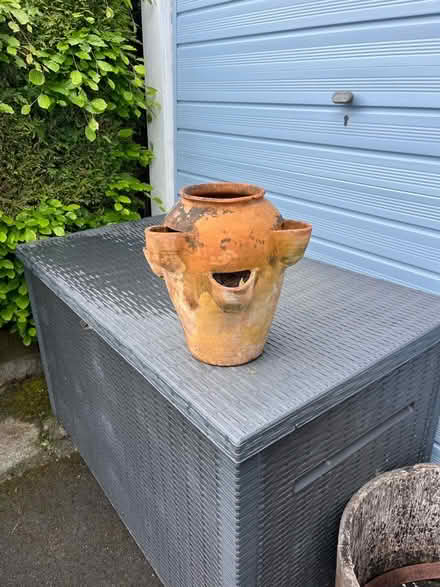 Photo of free Terracotta planter (Llandrindod LD1) #1