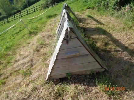 Photo of free Chicken poultry ark / broody coop (TQ12 4QX) #3