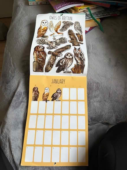 Photo of free British wildlife calendar (2021) (SG4 hitchin) #2