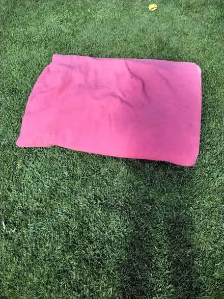Photo of free Large dog mattress bed (Penrith CA11) #1