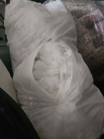 Photo of free Sofa/cushion stuffing (Nebo LL26) #1