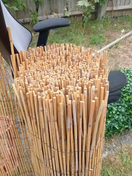 Photo of free Bamboo fencing (Lower Morden SM4) #1