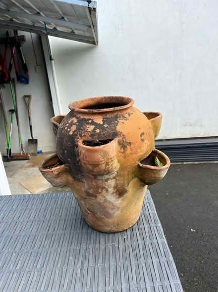 Photo of free Terracotta planter (Llandrindod LD1) #2
