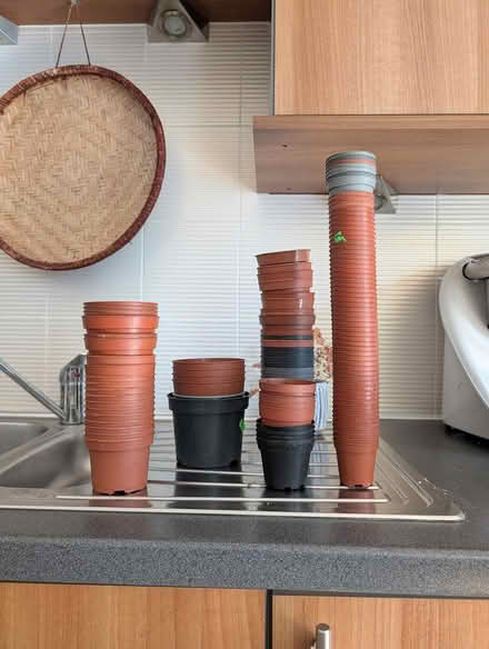 Photo of free Small plastic plant pots (Leith EH6) #1