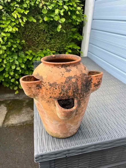 Photo of free Terracotta planter (Llandrindod LD1) #3